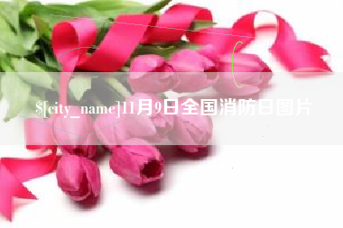 河源11月9日全国消防日图片