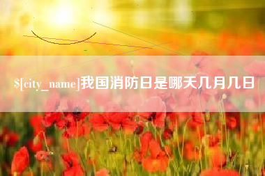 河源我国消防日是哪天几月几日