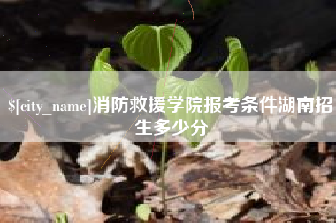 河源消防救援学院报考条件湖南招生多少分
