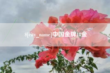 河源中国金牌18金