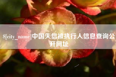 河源中国失信被执行人信息查询公开网址