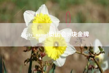 河源奥运会39块金牌