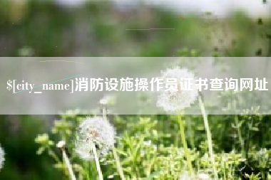河源消防设施操作员证书查询网址