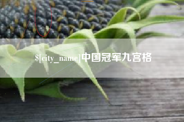 河源中国冠军九宫格