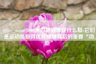 河源5000米世界冠军穿什么鞋-它们是运动员取得优异成绩背后的重要“功臣”