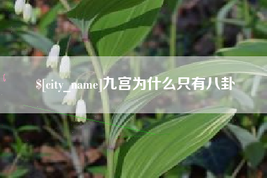 河源九宫为什么只有八卦