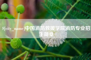 河源中国消防救援学院消防专业招生简章
