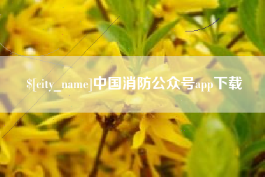 河源中国消防公众号app下载