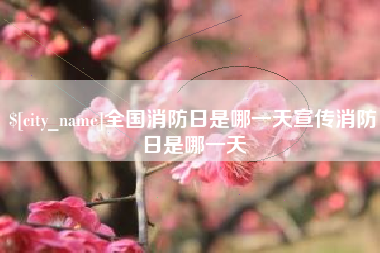 河源全国消防日是哪一天宣传消防日是哪一天