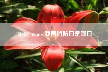 河源我国消防日是哪日