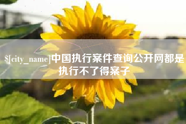 河源中国执行案件查询公开网都是执行不了得案子