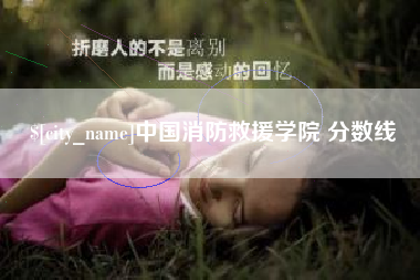 河源中国消防救援学院 分数线
