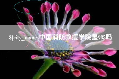 河源中国消防救援学院是985吗
