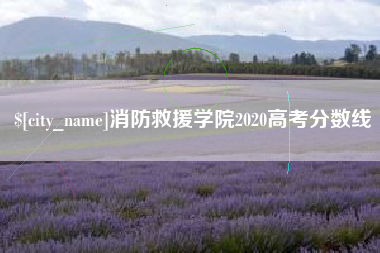 河源消防救援学院2020高考分数线