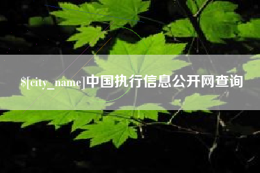 河源中国执行信息公开网查询