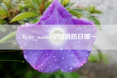 河源全国消防日哪一