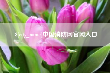 河源中国消防网官网入口