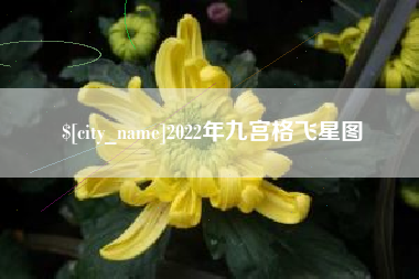 河源2022年九宫格飞星图