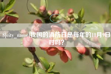河源我国的消防日是每年的11月9日对吗？
