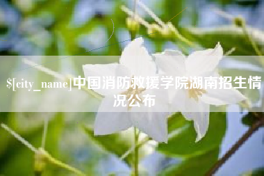 河源中国消防救援学院湖南招生情况公布