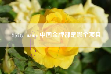 河源中国金牌都是哪个项目