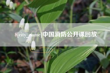 河源中国消防公开课回放