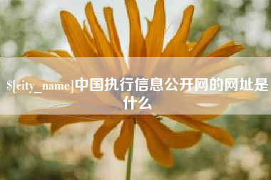 河源中国执行信息公开网的网址是什么