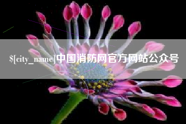 河源中国消防网官方网站公众号