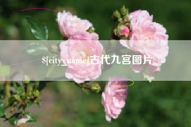 河源古代九宫图片