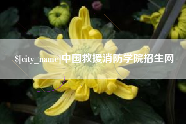 河源中国救援消防学院招生网