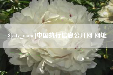 河源中国执行信息公开网 网址