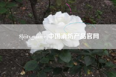 河源中国消防产品官网