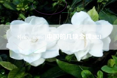 河源中国的几块金牌2021