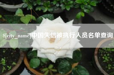 河源中国失信被执行人员名单查询