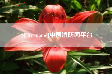 河源中国消防网平台