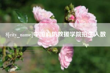 河源中国消防救援学院招生人数