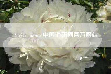 河源中国消防网官方网站