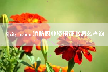 河源消防职业资格证书怎么查询