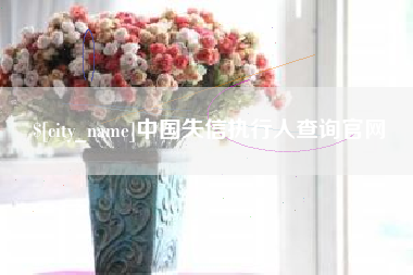 河源中国失信执行人查询官网