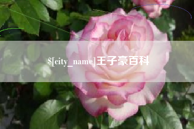 河源王子豪百科