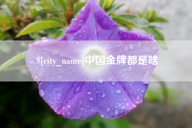 河源中国金牌都是啥