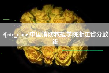 河源中国消防救援学院浙江省分数线
