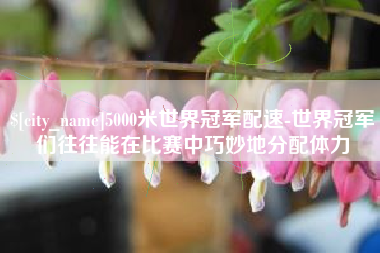 河源5000米世界冠军配速-世界冠军们往往能在比赛中巧妙地分配体力
