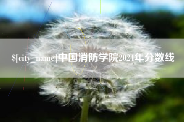 河源中国消防学院2024年分数线