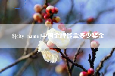 河源中国金牌能拿多少奖金