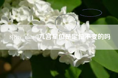 河源九宫星位是定位不变的吗