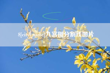 河源九宫图分割线图片