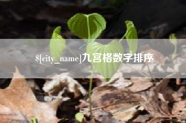 河源九宫格数字排序