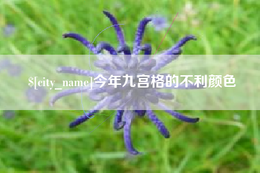 河源今年九宫格的不利颜色