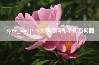河源2025大利方向和不利方向图
